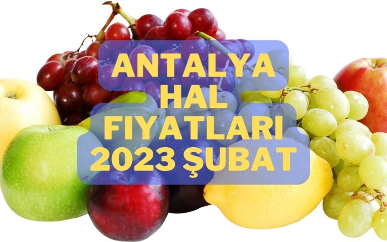 Antalya Hal Fiyatları | 2023 Şubat Güncel Fiyatlar