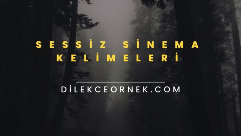 Sessiz Sinema Kelimeleri – Bilinmeyenler