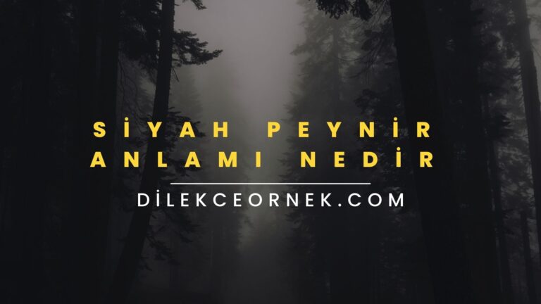 Siyah Peynir Anlamı Nedir? Siyah Peynir Olayı – Güncel Bilgi