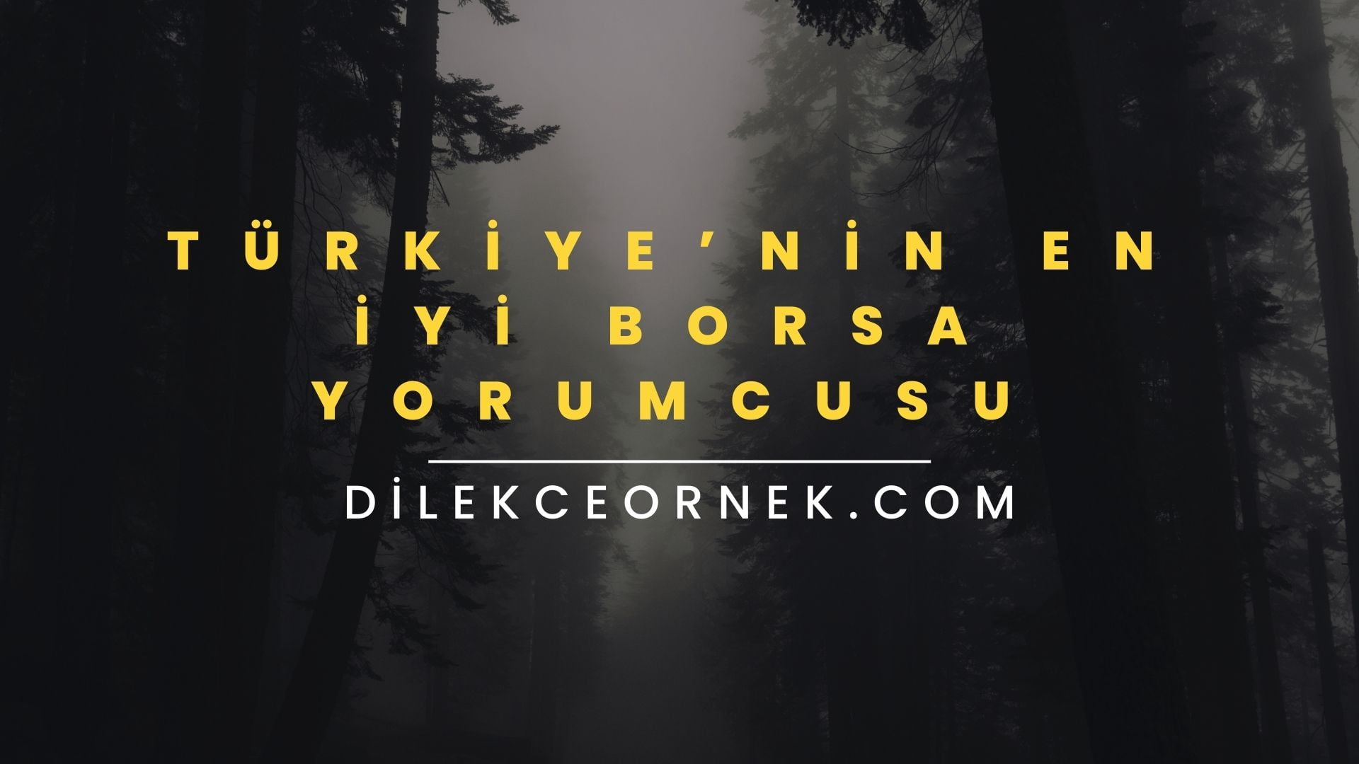 Türkiye’nin En İyi Borsa Yorumcusu